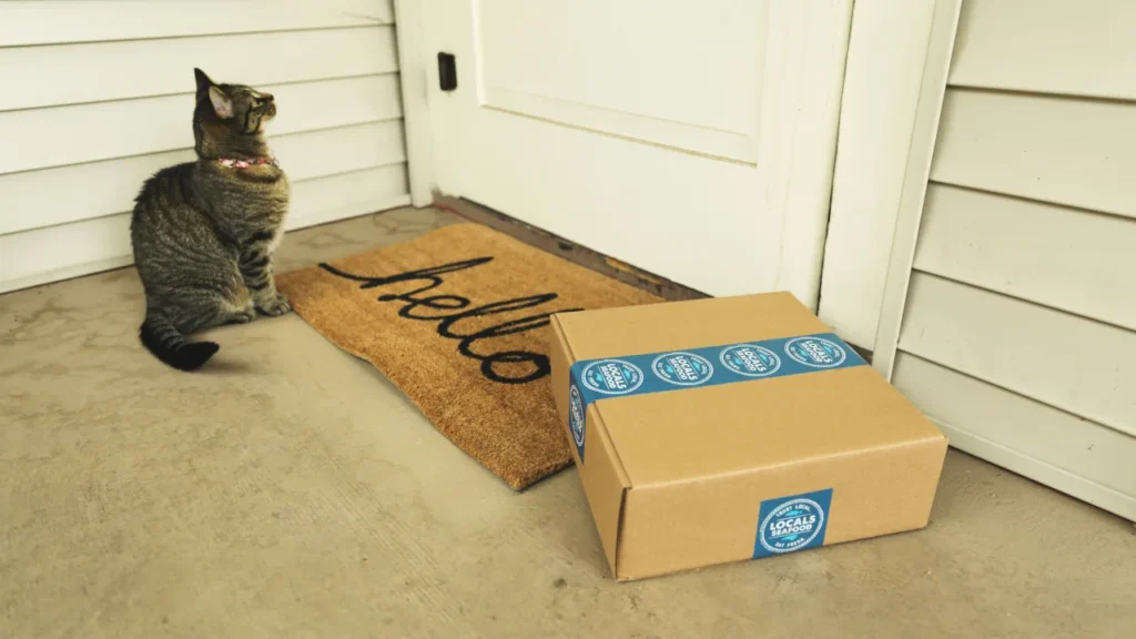Stop Porch Pirates With Smart Tech