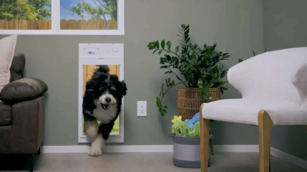 A fluffy dog running indoors through a white motorized smart pet door installed in an exterior home wall.