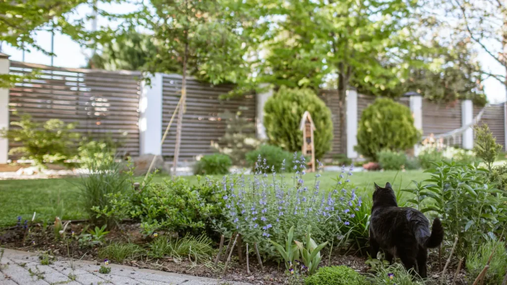 Stop Losing Wi-Fi in Your Backyard