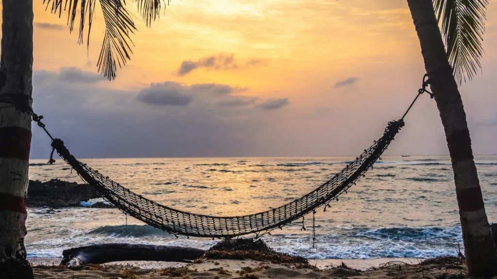 Hammock strung between palm trees at sunset on a beach.