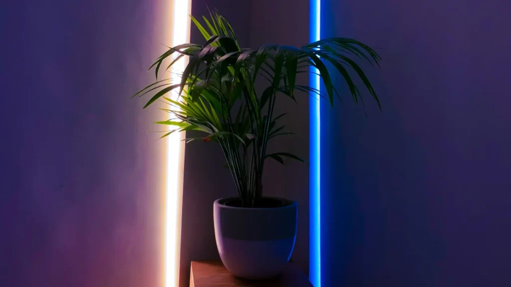 Govee Launches Strip Light 2 With Matter Support