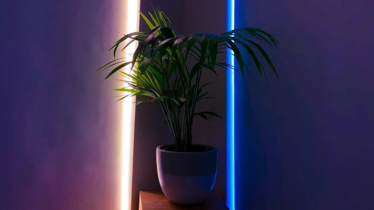 Govee Launches Strip Light 2 With Matter Support