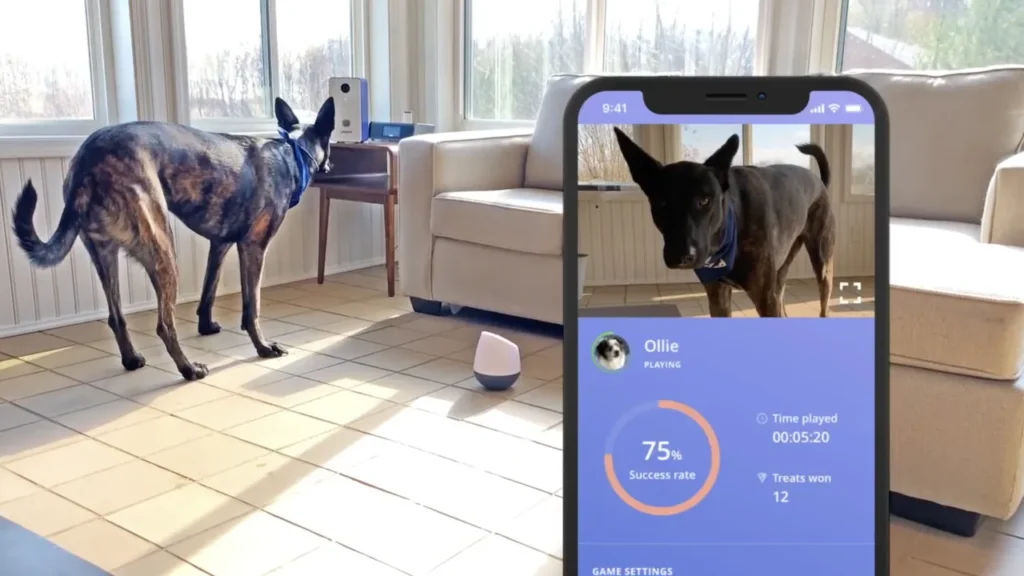 Smart Feeders to Keep Your Dog Busy While Working