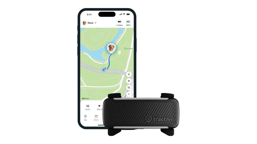 Black Tractive smart dog tracker next to a smartphone displaying the live GPS map app.
