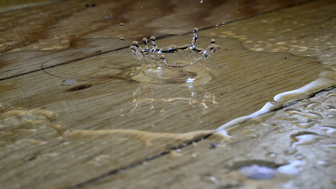 Where to Place Smart Water Sensors in Your Home